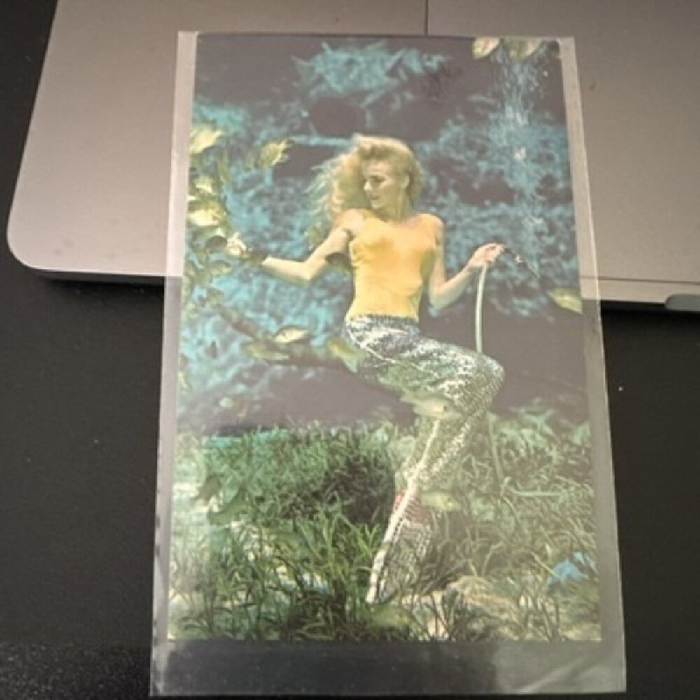 1960s Weeki Wachee Florida Under Water Spring of Live Mermaids Postcard